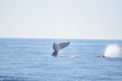 DSC_1221.JPG