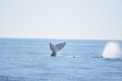 DSC_1222.JPG