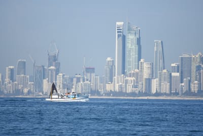 DSC_1235.JPG