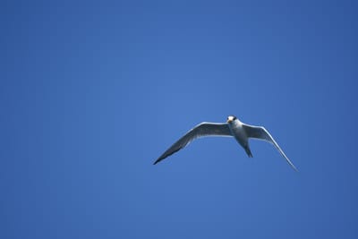 DSC_1269.JPG