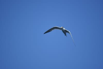 DSC_1274.JPG