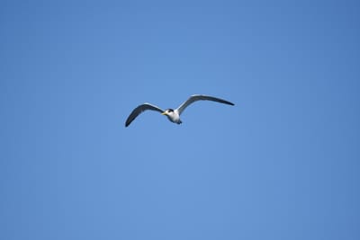 DSC_1278.JPG
