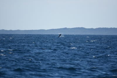 DSC_1283.JPG