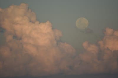 DSC_1285.JPG