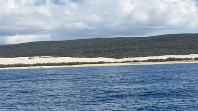 DSC_1368.JPG