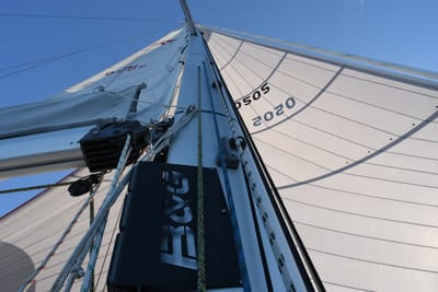 DSC_1410.JPG
