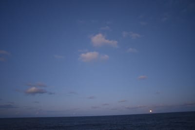 DSC_1412.JPG