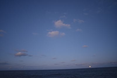 DSC_1413.JPG