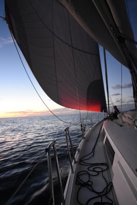 DSC_1419.JPG