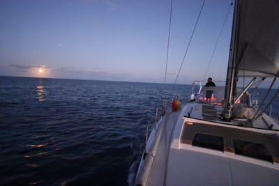 DSC_1430.JPG