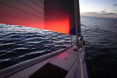 DSC_1437.JPG