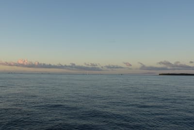 DSC_1441.JPG