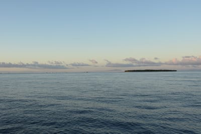 DSC_1442.JPG
