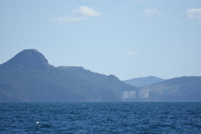 DSC_1451.JPG