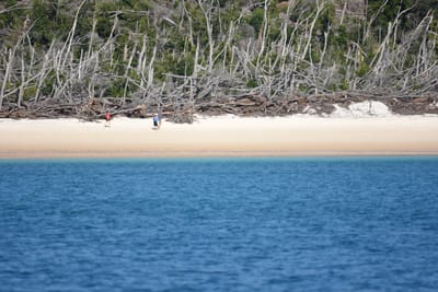 DSC_1457.JPG