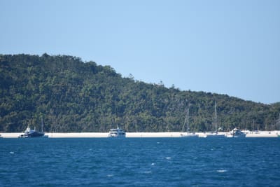 DSC_1462.JPG