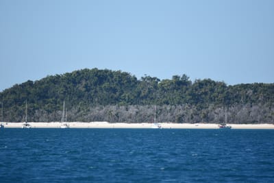 DSC_1463.JPG