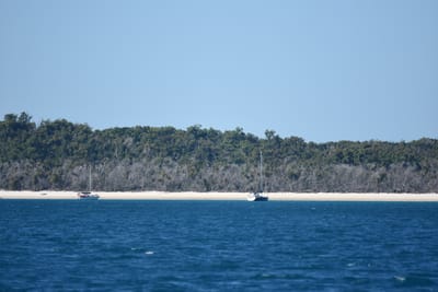 DSC_1464.JPG