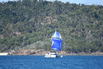 DSC_1466.JPG