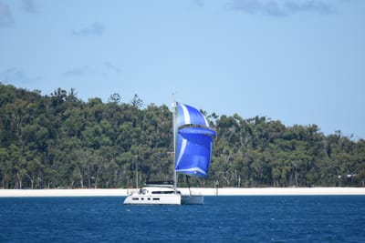 DSC_1467.JPG