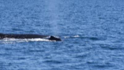 DSC_5261.MOV