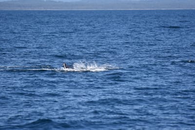 DSC_5269.JPG