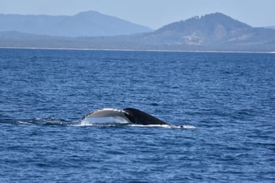 DSC_5270.JPG