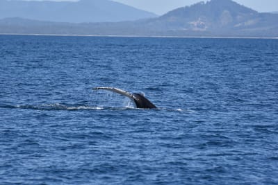 DSC_5272.JPG