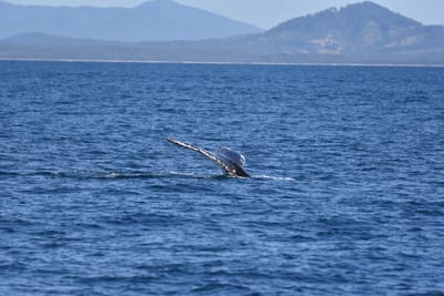 DSC_5273.JPG