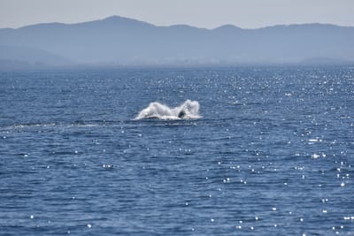 DSC_5297.JPG