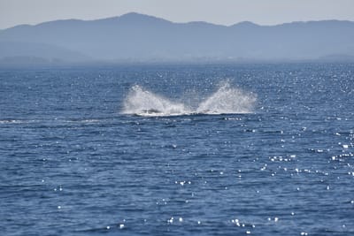 DSC_5300.JPG