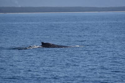 DSC_5303.JPG