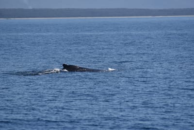 DSC_5304.JPG