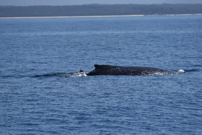 DSC_5306.JPG