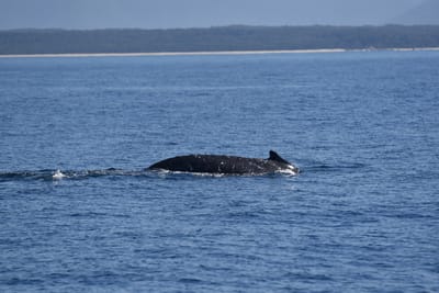 DSC_5307.JPG