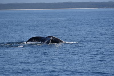 DSC_5310.JPG