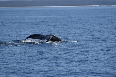 DSC_5311.JPG