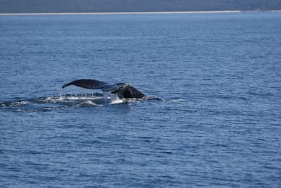DSC_5312.JPG