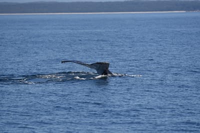 DSC_5314.JPG