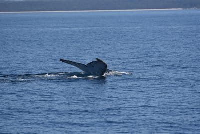 DSC_5316.JPG