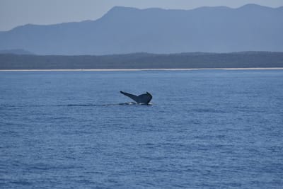 DSC_5320.JPG
