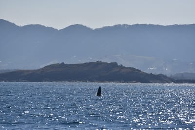 DSC_5330.JPG