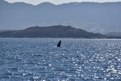 DSC_5332.JPG