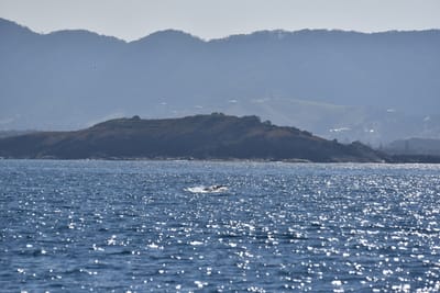 DSC_5336.JPG