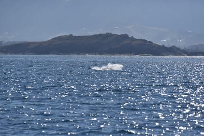 DSC_5338.JPG