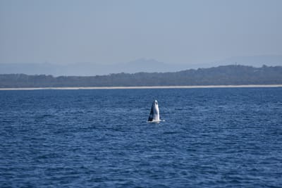 DSC_5366.JPG