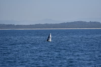 DSC_5367.JPG