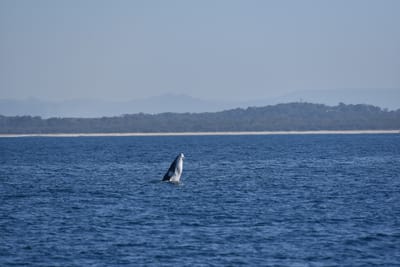 DSC_5368.JPG