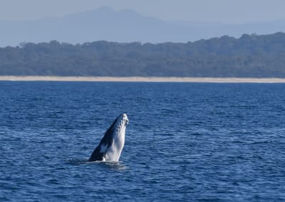 DSC_5368e.jpg