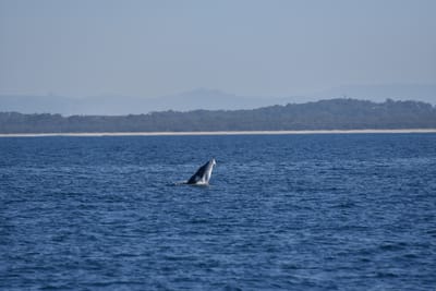 DSC_5369.JPG